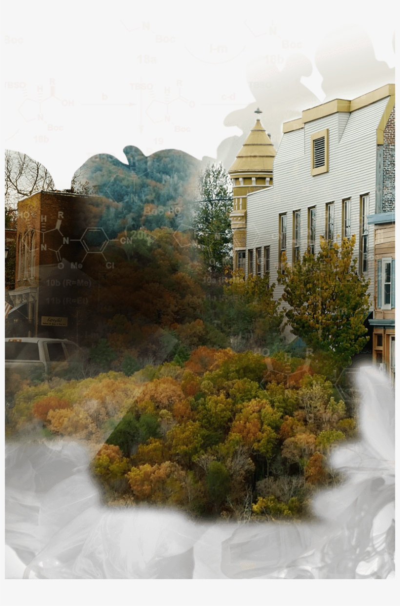 Bristol-myers Squibb Foundation - House, transparent png download