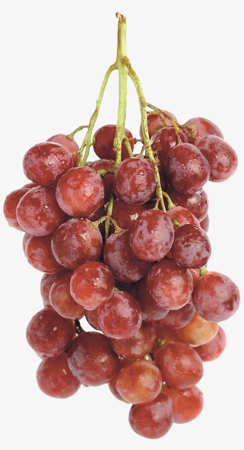 Grape Png Image, Free Picture Download - 一 串 葡萄, transparent png download