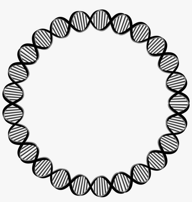 This Free Icons Png Design Of Dna Circle Large, transparent png download