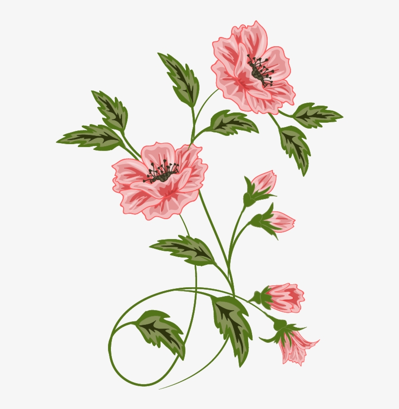 Flowers, Vector Flora Pattern, Borders And Frames, - Flowers Vector, transparent png download