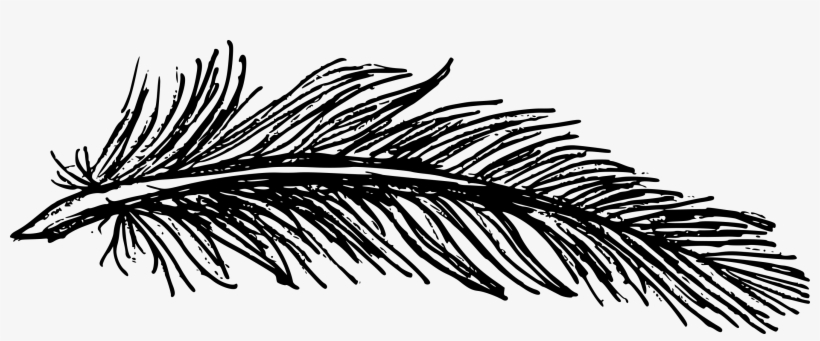 Free Download - Drawing, transparent png download