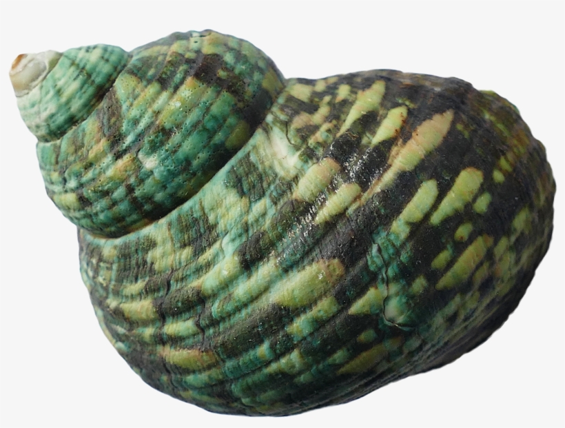 Transparent Ocean Download - Sea, transparent png download