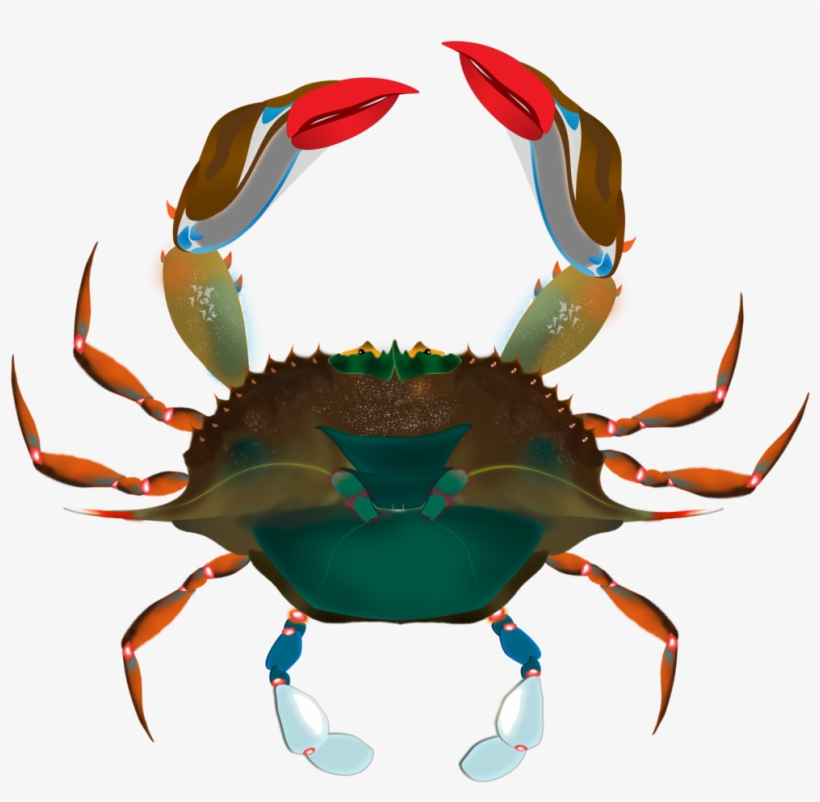 Crab Crop, transparent png download