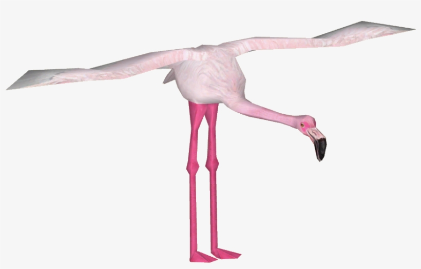 Lesser Flamingo - Lesser Flamingo Png, transparent png download