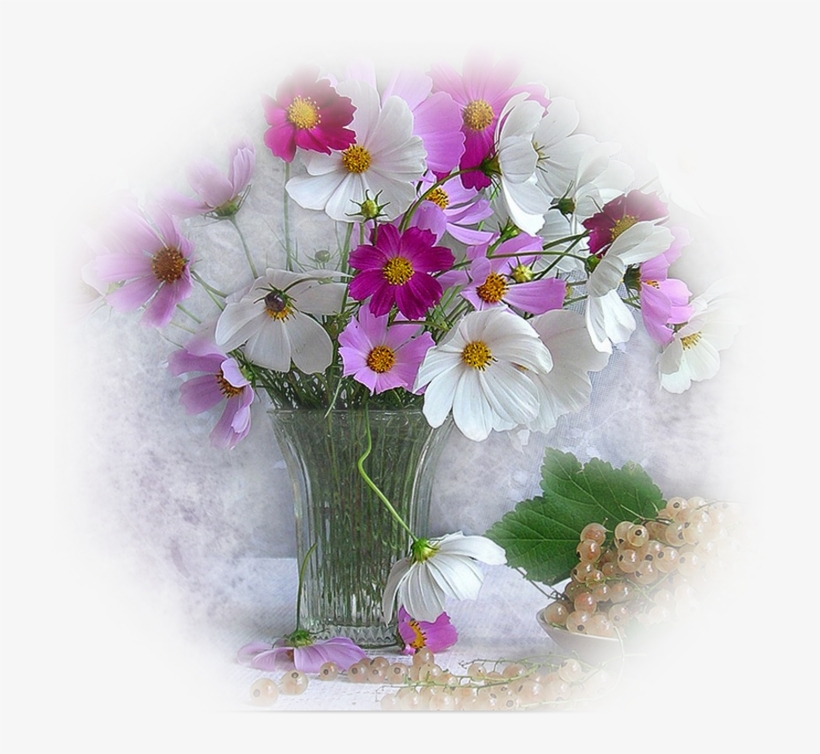 5 Beautiful Trims Flowers Graphics " - Mooi Blomme, transparent png download