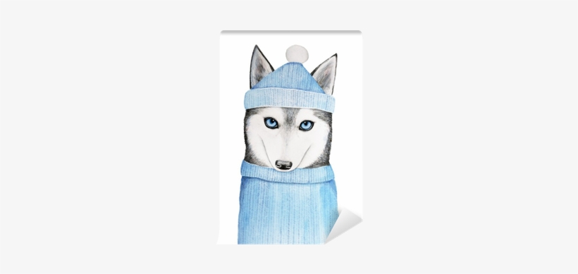 Cute Husky Dog In A Blue Winter Hat And Warm Sweater - Sweater, transparent png download