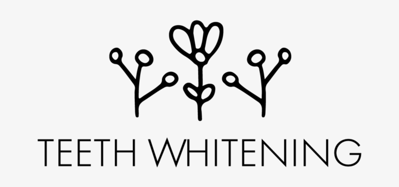 Services Boxes Update-01 - Portable Network Graphics, transparent png download