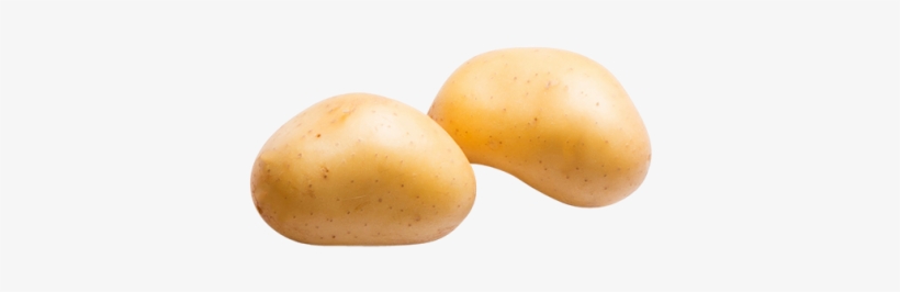 Potatoes - Russet Burbank Potato, transparent png download