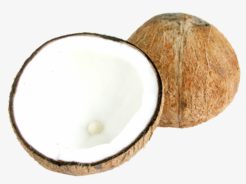 Half Coconut Png, transparent png download