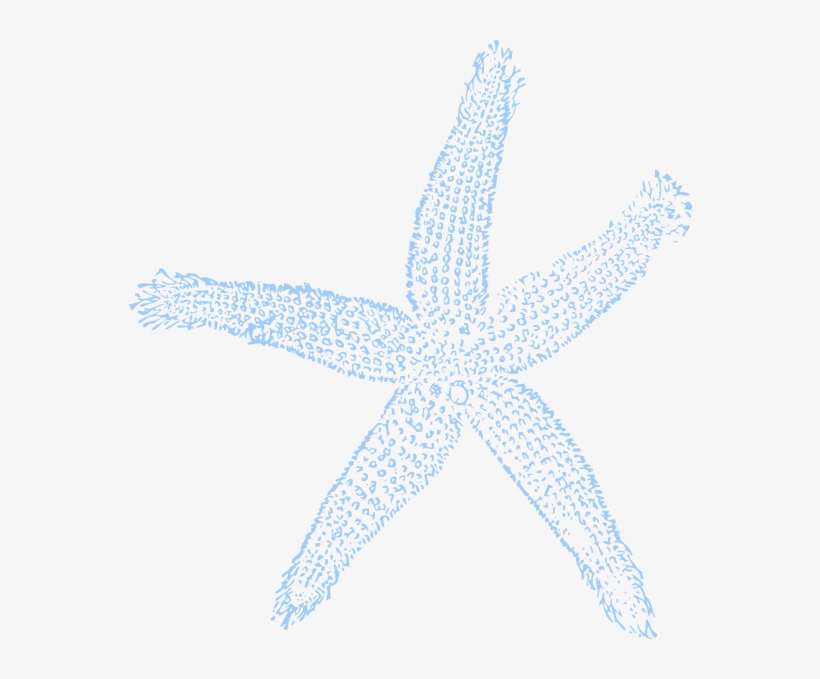 Drawn Starfish Blue Starfish - Gold Or Silver Metallic Shoe Upgrade, Gold Silver Bridal, transparent png download
