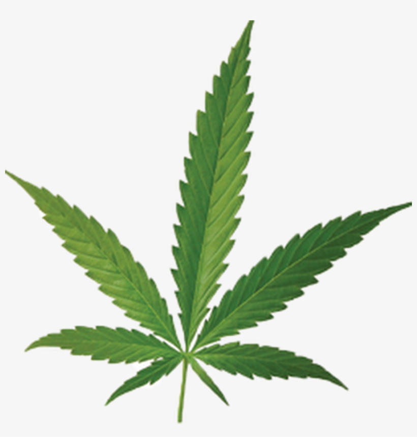 Download - Free The Weed Flask, transparent png download