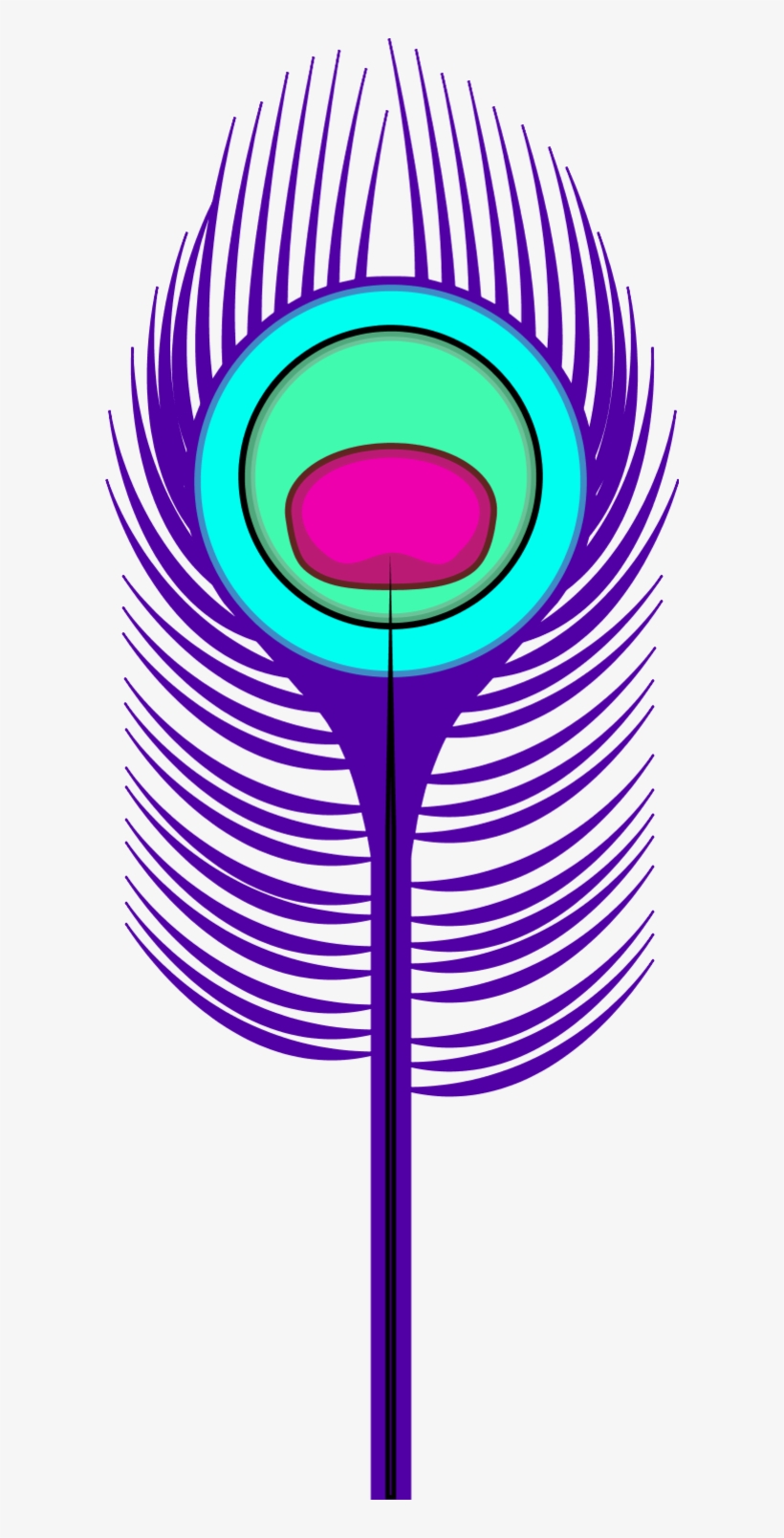 Feather Clipart Purple - Peacock Feather Clip Art, transparent png download