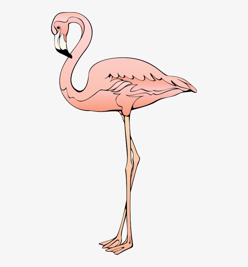 Flamingo 3 Svg Clip Arts 360 X 597 Px, transparent png download
