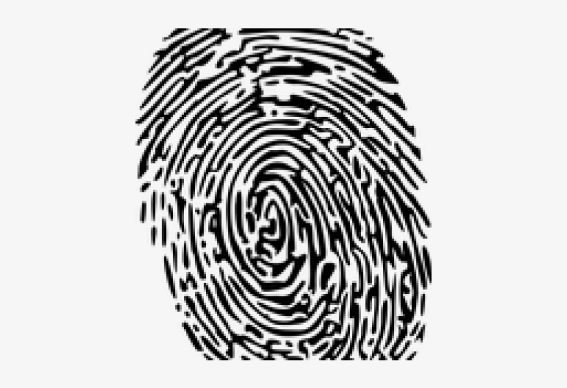 Fingerprint Png Transparent Images - Transparent Fingerprint Illustration, transparent png download