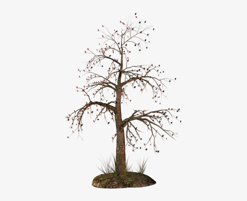 0, - Transparent Background Dead Tree, transparent png download