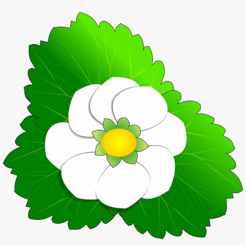 Big Image - Flower Clip Art, transparent png download