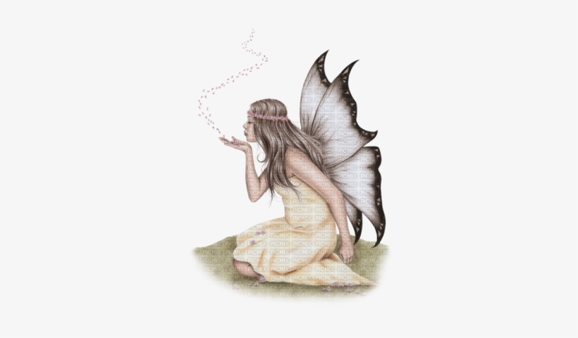 Share This Image - Fairy, transparent png download