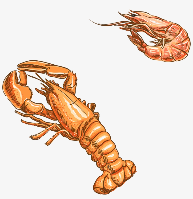 Free Stock Plateau De Fruits Mer Oyster Mussel Seafood - Seafood Drawing, transparent png download