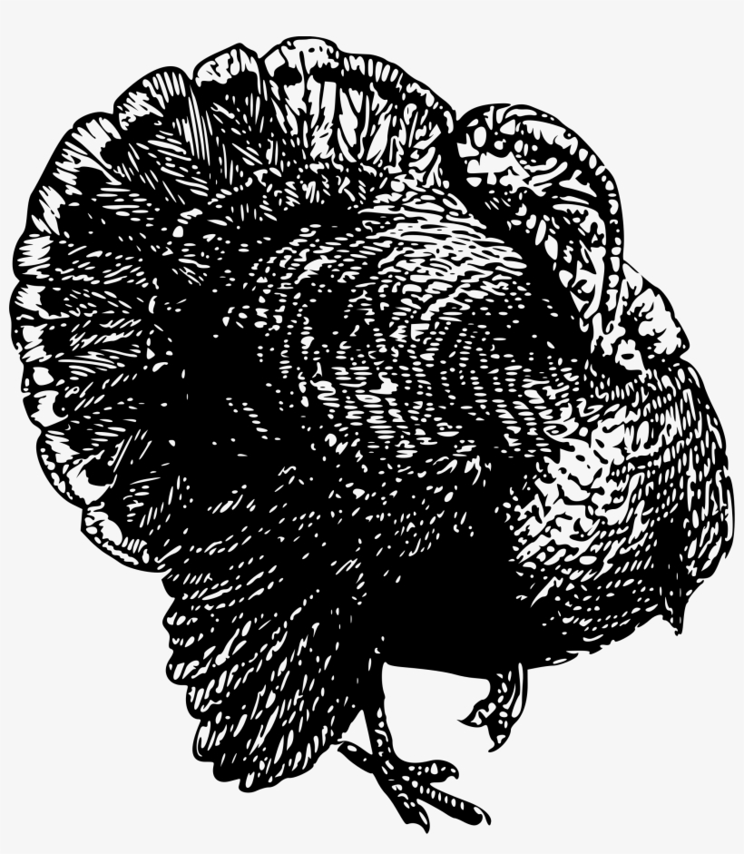 This Free Icons Png Design Of Turkey 3, transparent png download