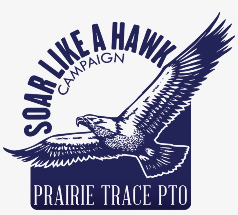 Hawk, transparent png download