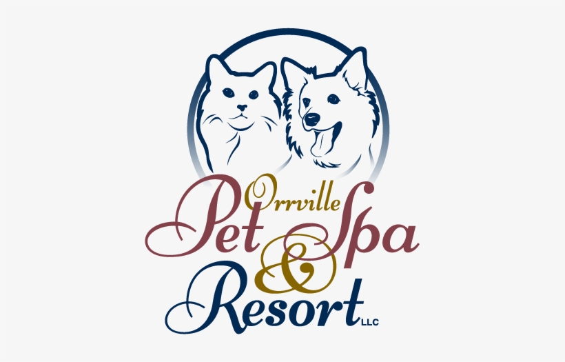 Orr Pet Spa Header Menu - Bvvc Logo Shot Glass, transparent png download