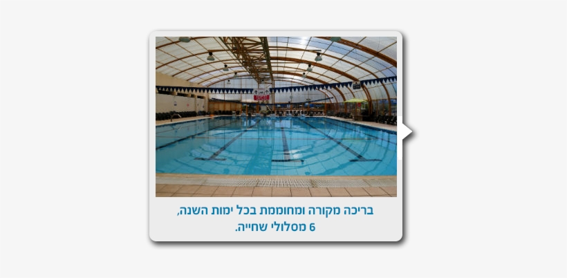 Pool - Swimming Pool, transparent png download