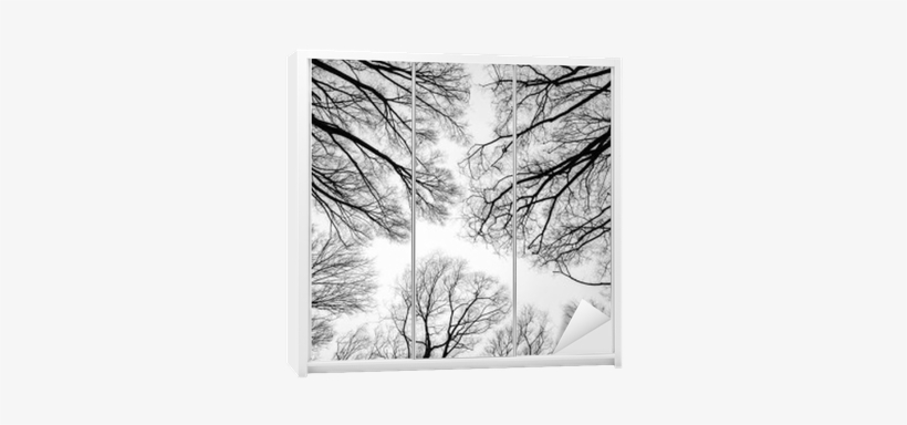 Tree, transparent png download
