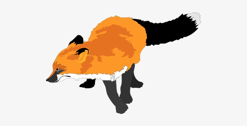 Fox Animal Wildlife Orange Coat Black Whit - Sly Fox Sticker, transparent png download