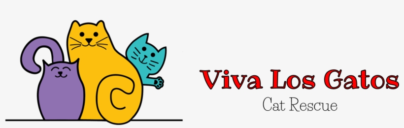 Viva Los Gatos Cat Rescue's Shop - Viva Los Gatos Cat Rescue, transparent png download