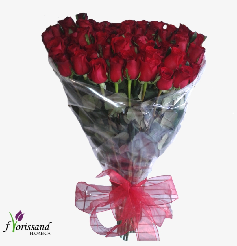 Ramo De Rosas Celofan - Docena De Rosas Con Celofan, transparent png download