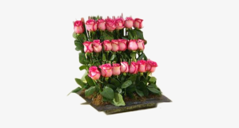 Floral Coro De Rosas - Rose, transparent png download