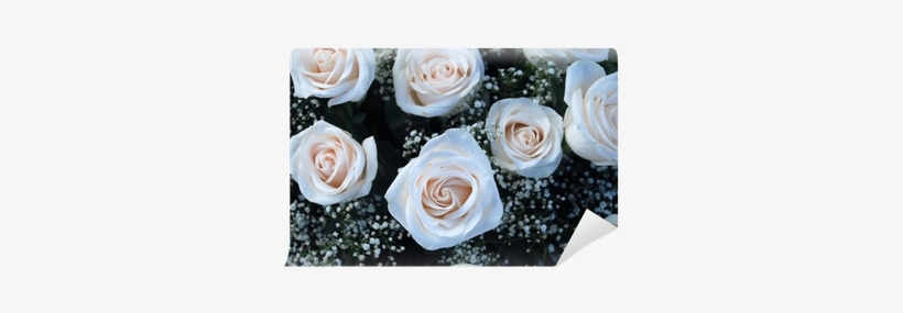 Ramo De Rosas Blancas - White, transparent png download