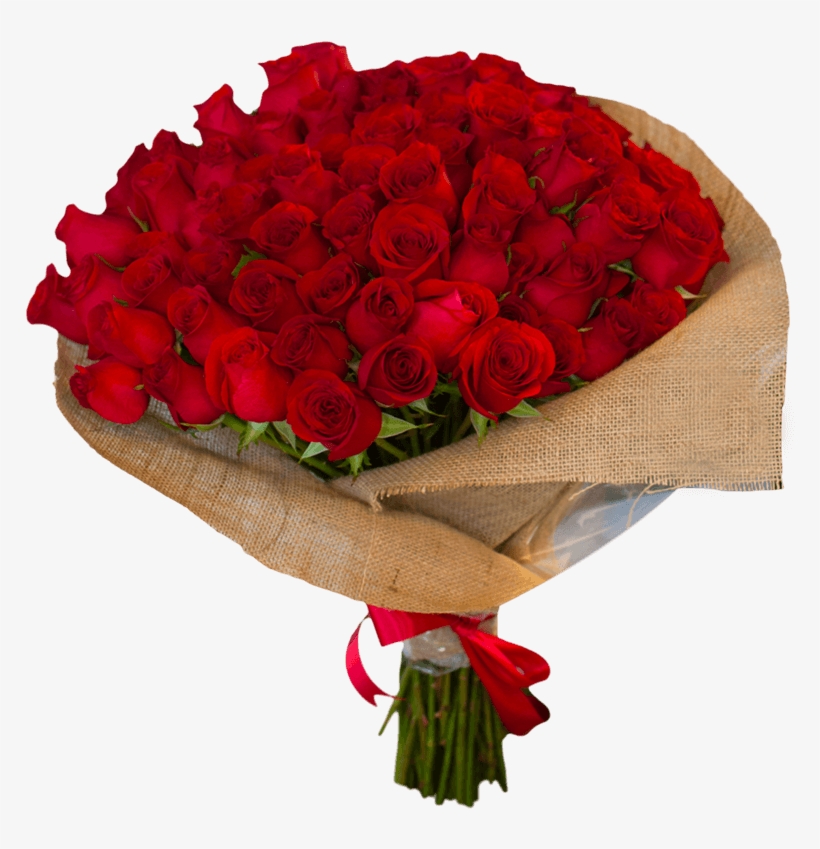 Categorias - Rosasrománticos - Garden Roses, transparent png download