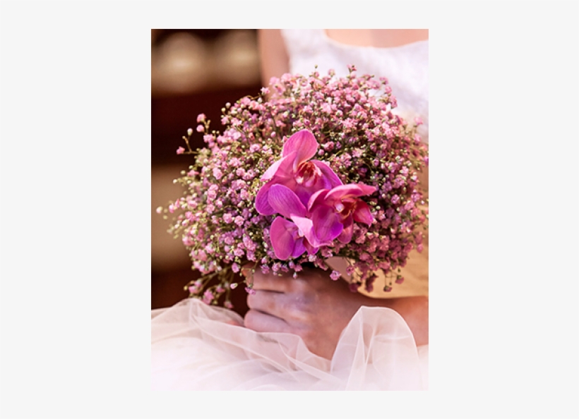 Orchids, transparent png download