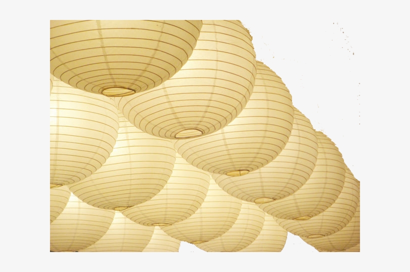 Lanterns - 5x Round White Paper Lanterns 8" Wedding Party D Cor, transparent png download