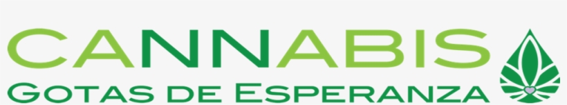 Remember That The Quota Is Limited So If You Are In - Premium Outlets, transparent png download