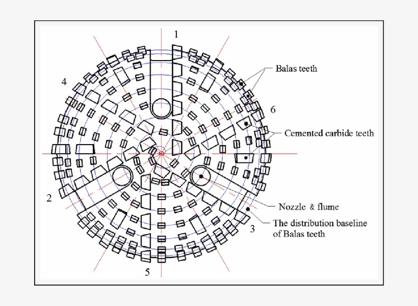 Teeth Arrangement Of The Window Bit Head Face - Arrangement, transparent png download