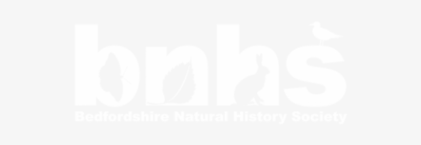 Bnhs Logo-600x253 - Secret History Of Nursery Rhymes Ebook, transparent png download
