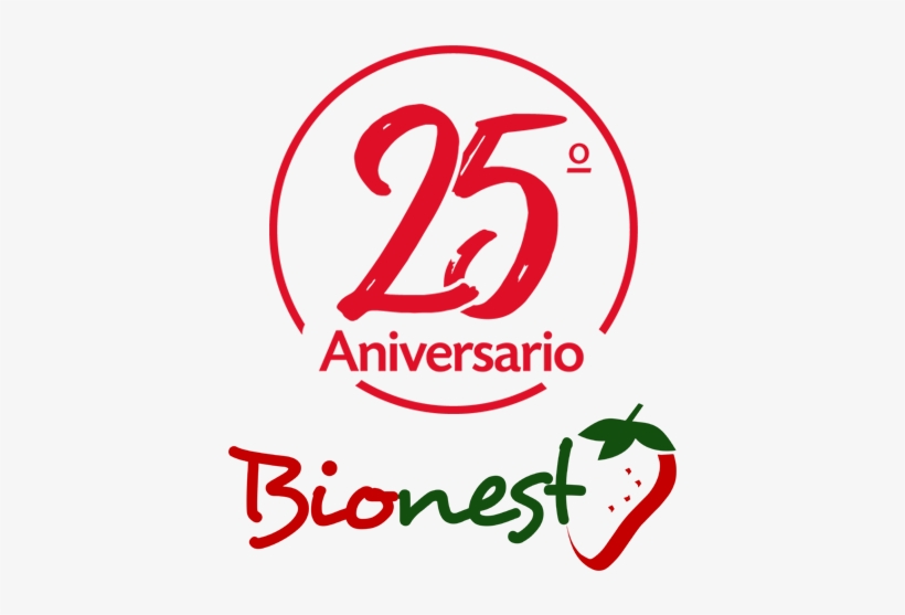 Si Necesitas Información Sobre Bionest, No Dudes En - Happy Birthday Pillow Case, transparent png download