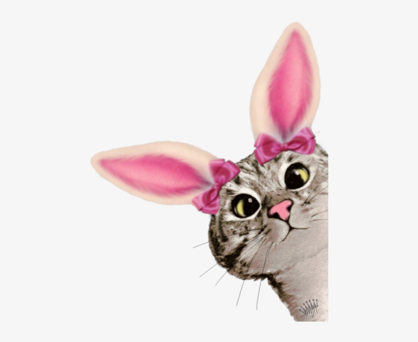 Report Abuse - Cat, transparent png download