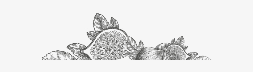 These Varieties Were Brought To The Area Of Taxiarchis - Sketch, transparent png download