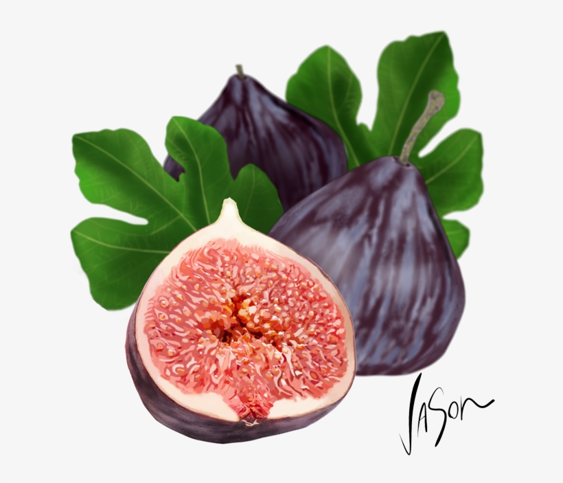 Adam Fig, transparent png download