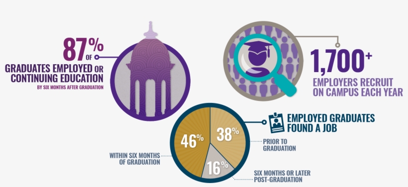 8️⃣0️⃣ Percent Of Employed Graduates In The 2015-16 - Graduation Ceremony, transparent png download