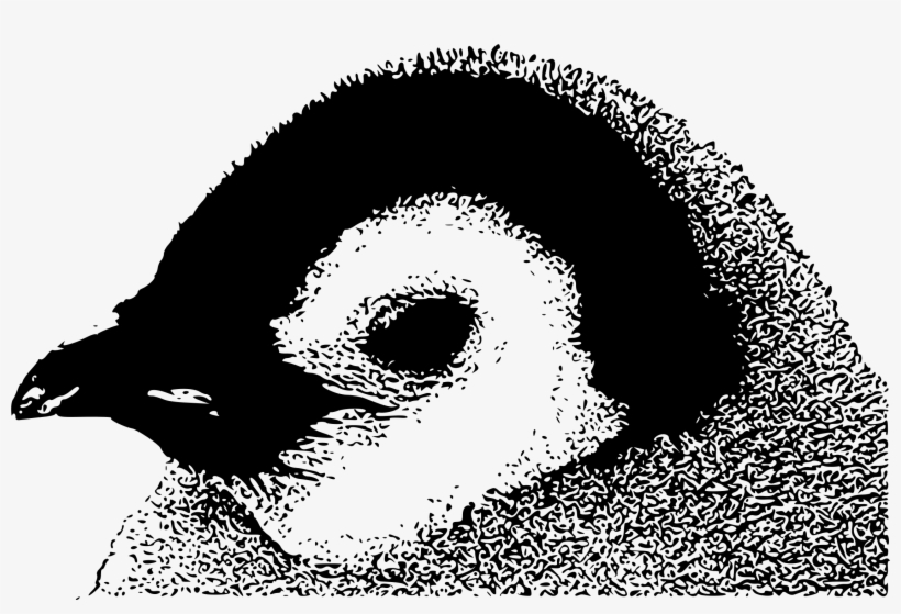 This Free Icons Png Design Of Emperor Penguin Chick, transparent png download