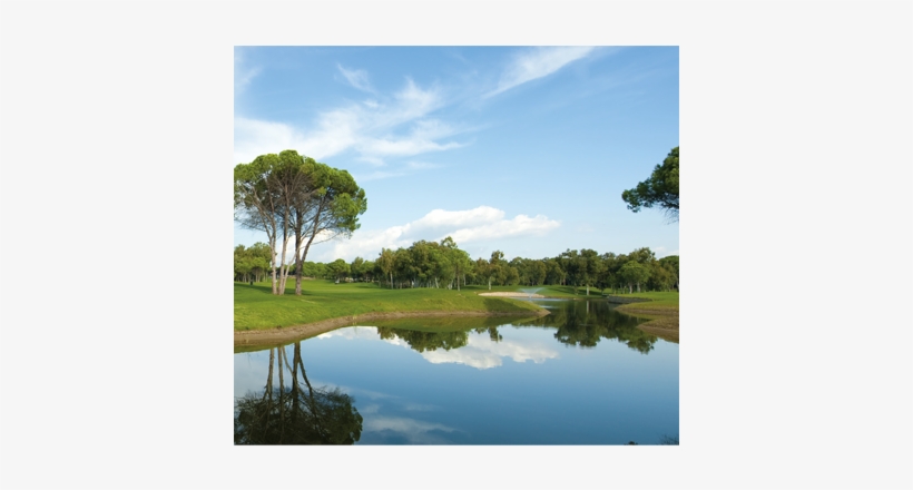 Mystic® Lake Blue Liquid Dyes Transform The Pale, Dirty - Electric Battery, transparent png download