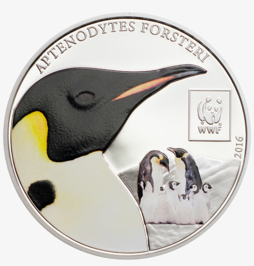 Emperor Penguin - Silver, transparent png download