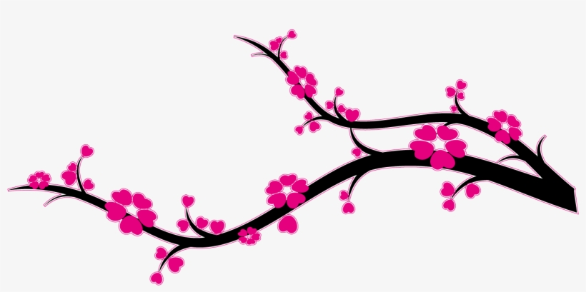 Branche Cerisier Du Japon, transparent png download