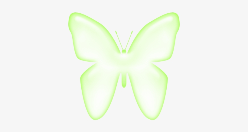 Http - //i46 - Tinypic - Com/fzc2fd - Borboleta Branca Fundo Transparente, transparent png download