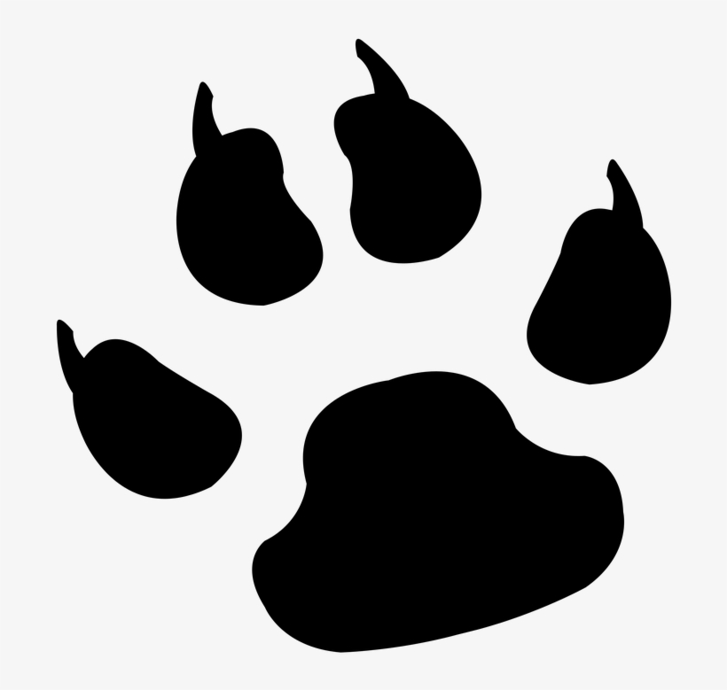 Paw-1936392 960 720 - Jack Russell Paw Print, transparent png download