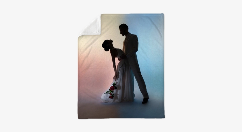 Wedding Couple Silhouette Groom And Bride On Colors - Bridegroom, transparent png download